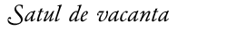 Satul de vacanta